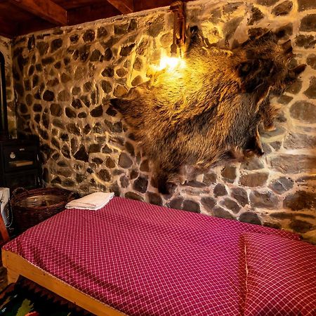 فيلا Catunu' Lui Emil Carbunesti المظهر الخارجي الصورة