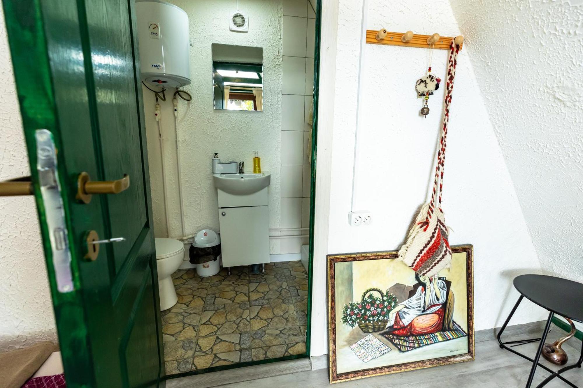 فيلا Catunu' Lui Emil Carbunesti المظهر الخارجي الصورة